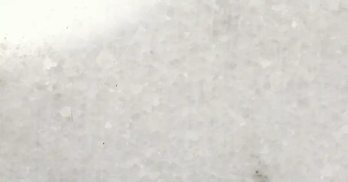 Auran Doğal Sivrisinek ve Kene Koruma Ürünleri: Güvenli ve Çevre Dostu Çözüm Alternatifleri