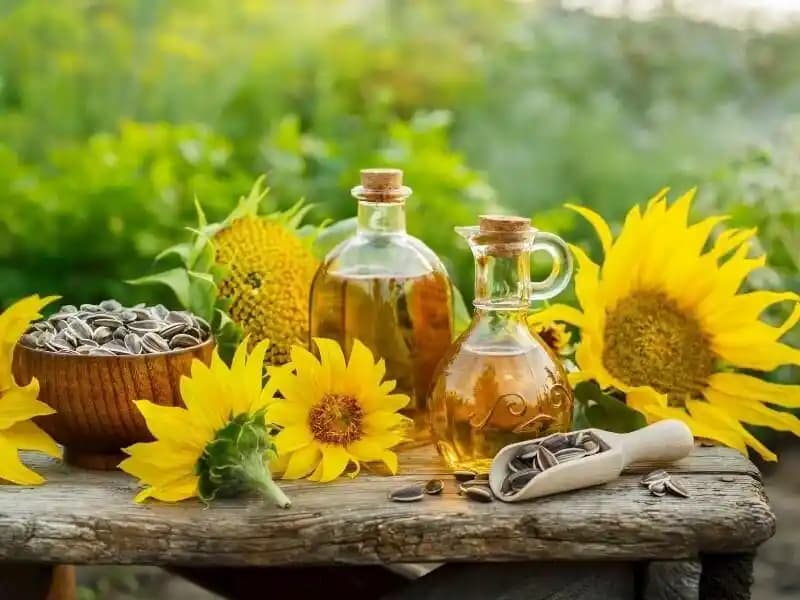 Ayçiçek Yağı: Sağlıklı ve Çok Yönlü Kullanımıyla Günlük Mutfakların Vazgeçilmezi