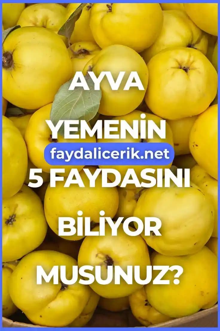 Ayva Meyvesinin Sağlık Faydaları ve Doğal Şifa Kaynağı Olarak Kullanımı