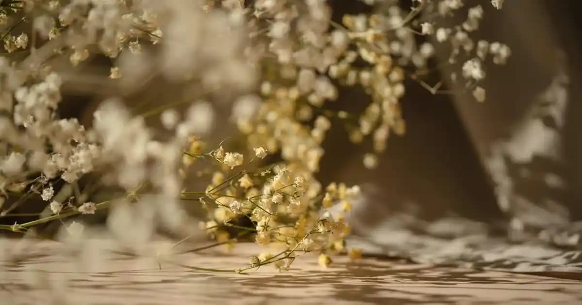 Baldo Pirinç Seçiminde Kalite ve Ekonomiyi Dengeleyen En İyi Yöntemler