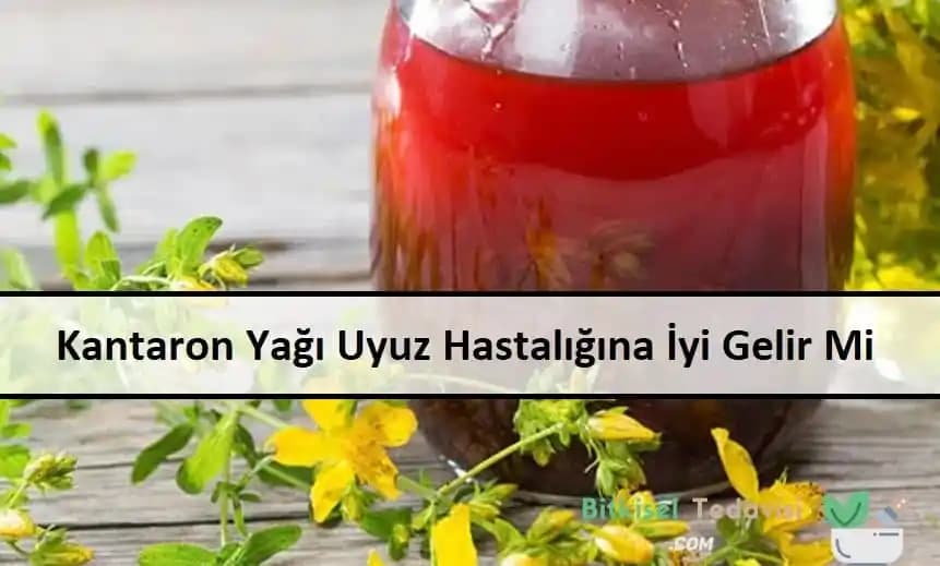 Bitkisel Kantaron Yağı ve Uyuz Tedavisinde Kullanımı: Etkinlik ve Güvenlik Değerlendirmesi