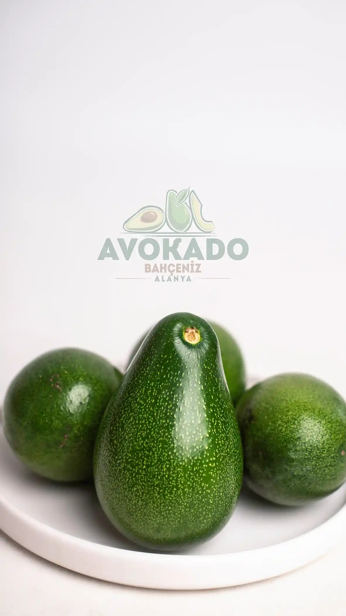 Büyük Boy Avokado Paketleri: Sağlıklı ve Ekonomik Seçenekler Hakkında Detaylı Bilgi