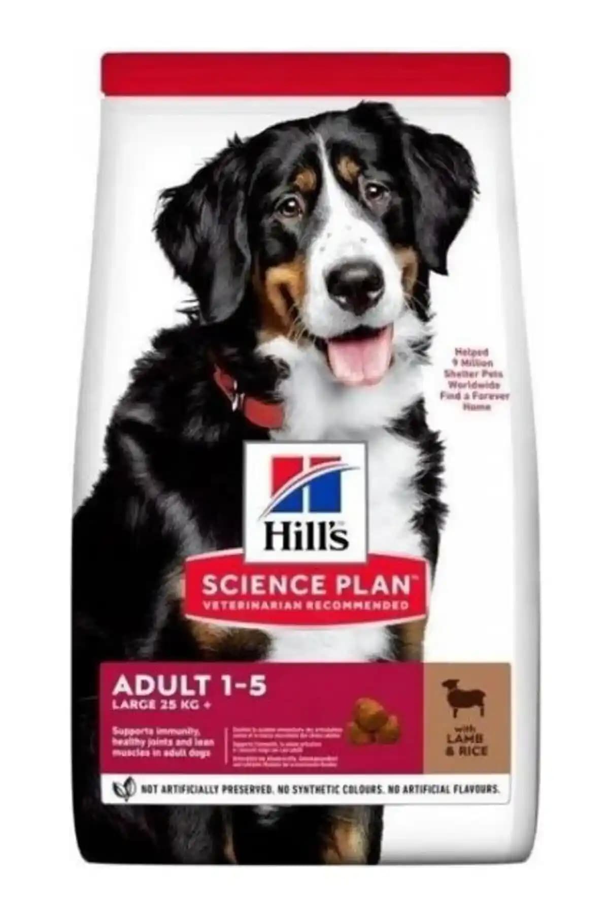 Büyük Irk Köpekleri İçin Lamb Rice Mama: Sağlıklı ve Dengeli Beslenme Seçenekleri