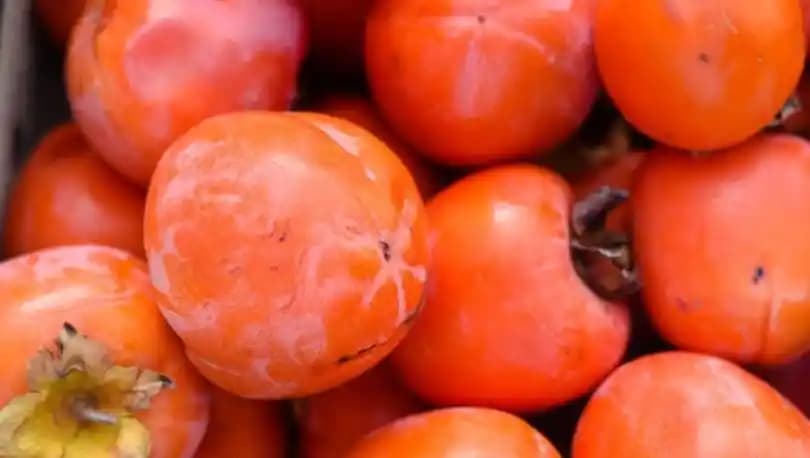 Cennet Hurması: Kış Aylarında Sağlığı Destekleyen Besleyici ve Lezzetli Meyve