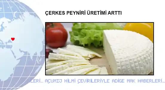 Çerkes Peyniri: Geleneksel Üretim Süreci ve Özellikleri Hakkında Detaylı Bilgi