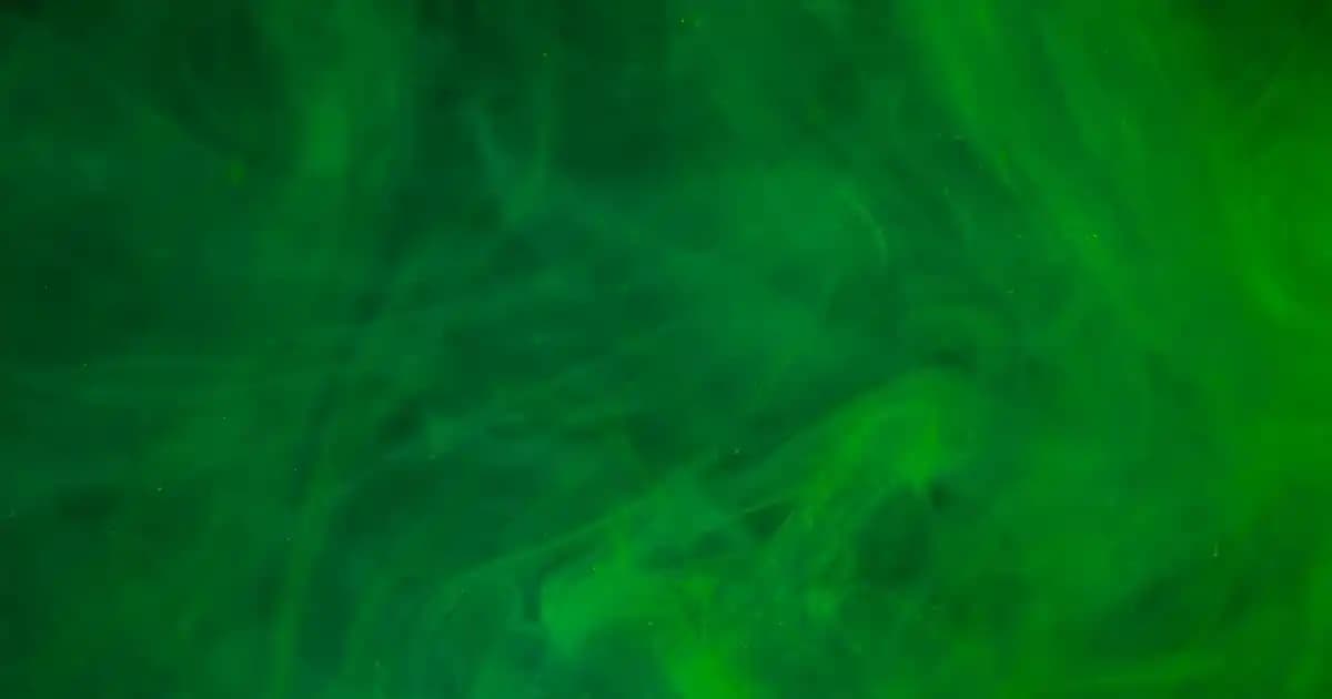 Çiğ Karabuğday Ununun Glutensiz Sağlık ve Beslenme Faydaları