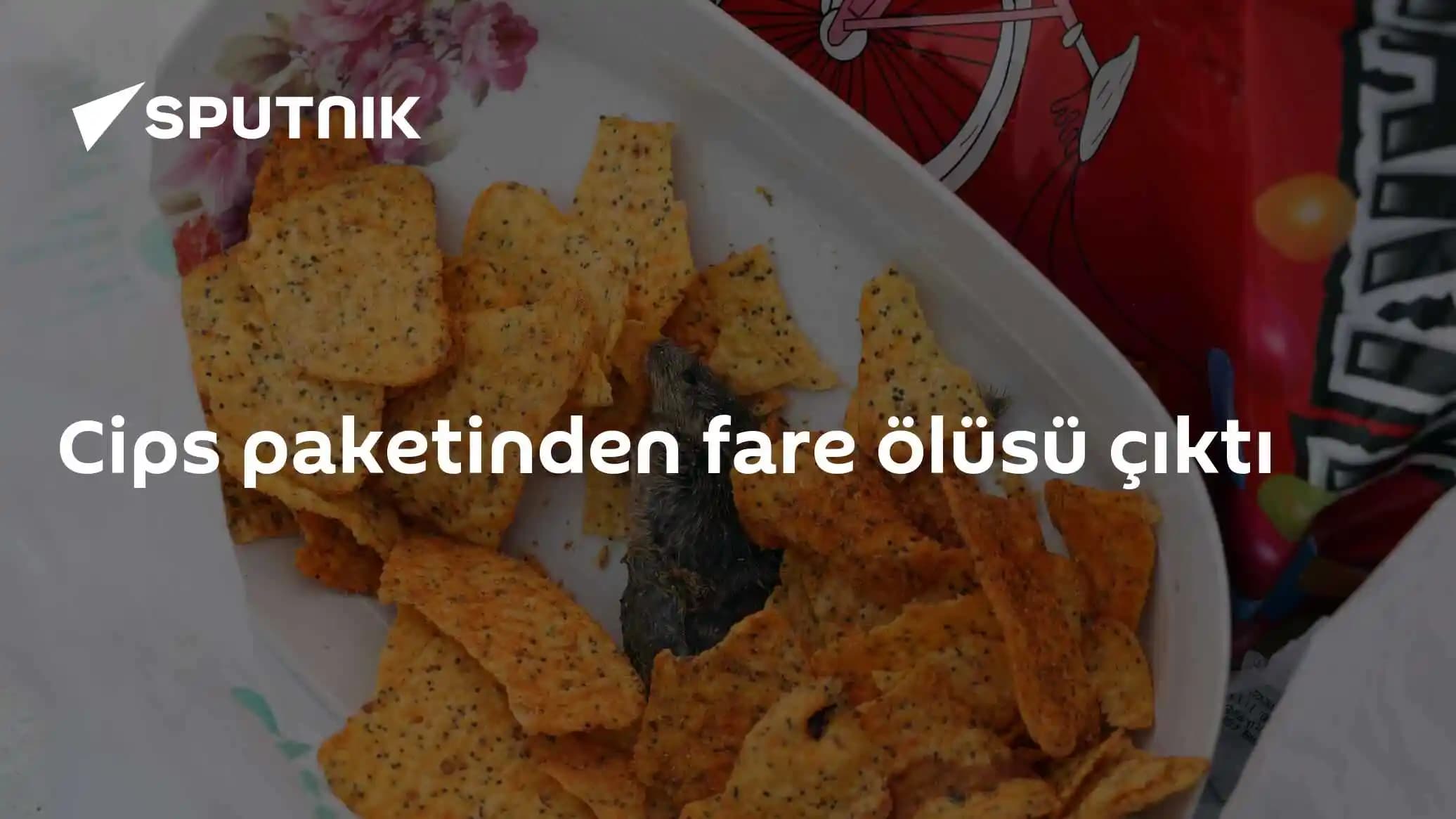 Çip Satın Alma Alışkanlıkları ve Güncel Pazar Trendleri Analizi