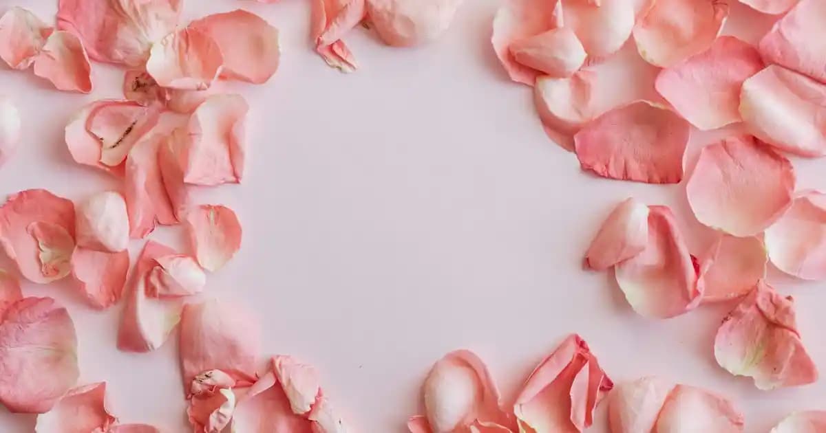 Cranberry Tabletleri ve Antioksidan İçeriği: Sağlık Üzerindeki Faydaları ve Kullanım İpuçları