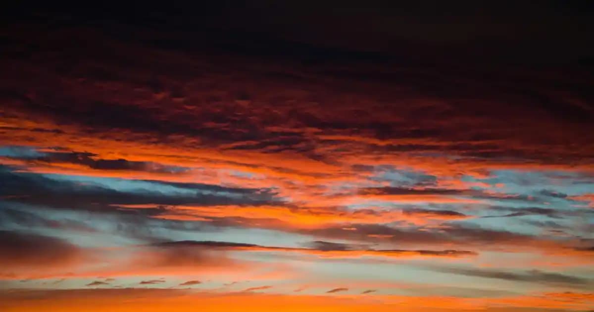 Dantel Evi Kokteyl Peçeteleri: Şık ve Dayanıklı Masa Dekorasyonu Çözümleri