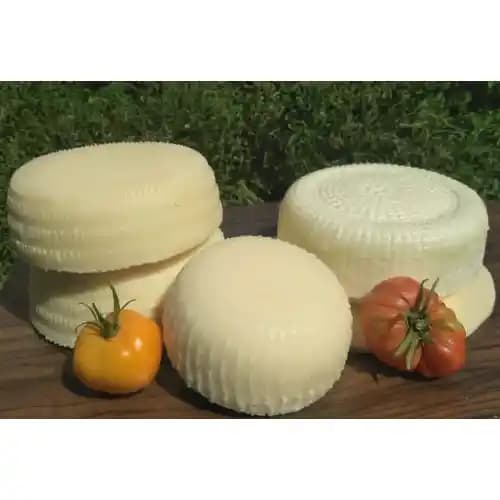 Doğal Çerkes Peyniri ve Sağlık Faydaları: Geleneksel Üretimle Sağlıklı Beslenme