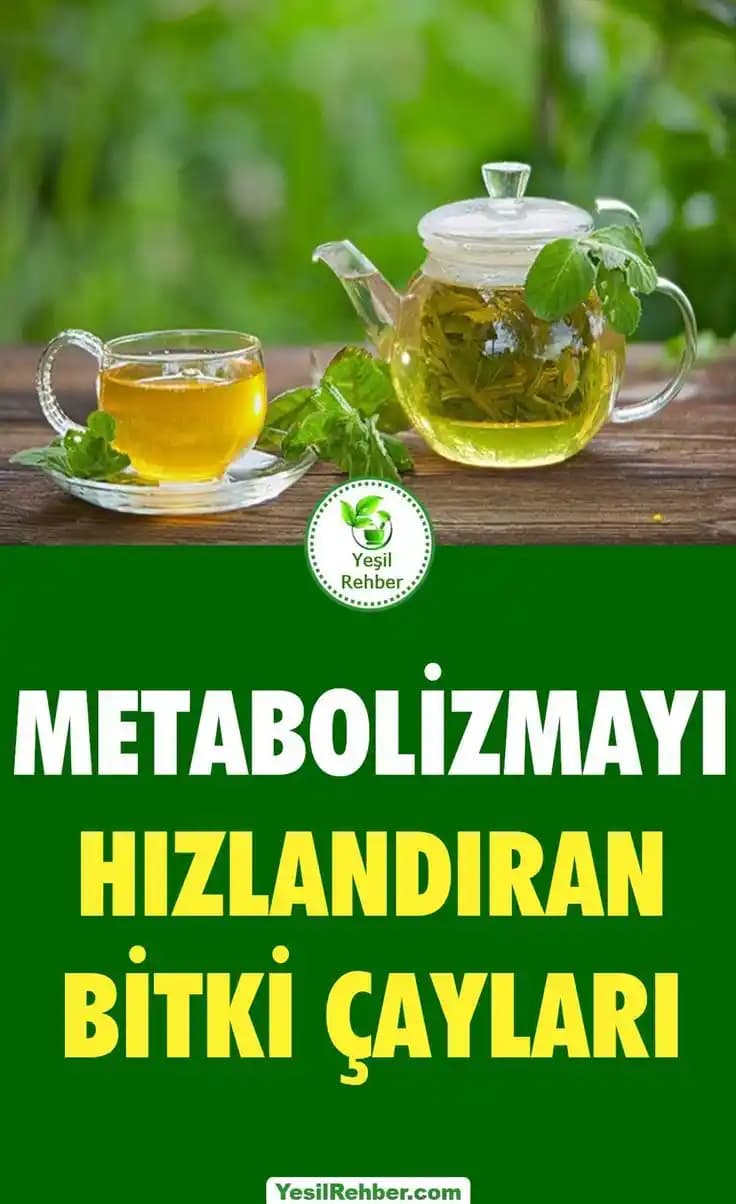 Doğal ve Sağlıklı Bitki Temelli İçecekler: Güncel Trendler ve Piyasa Analizi