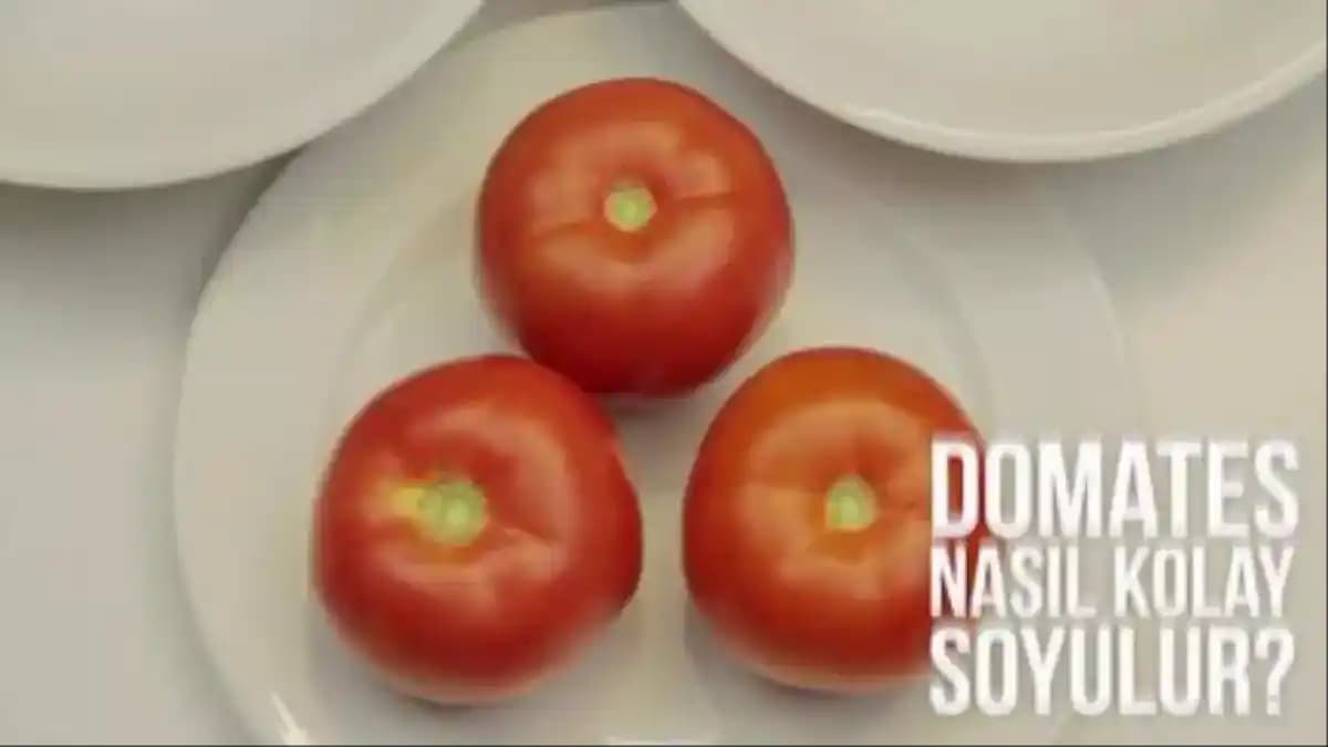 Domates Alışverişinde Kalite ve Tazelik İçin Temel Püf Noktaları