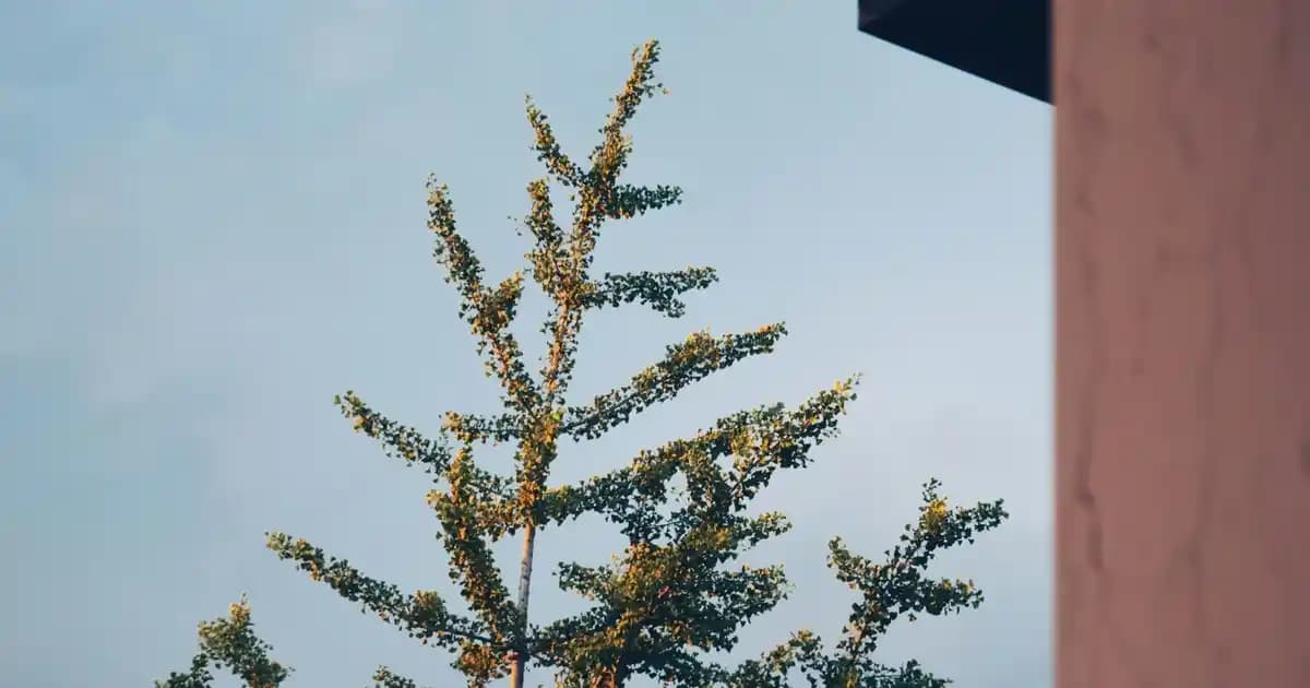 Ekonomik ve Kaliteli Bebek Bezi Seçerken Dikkat Edilmesi Gerekenler