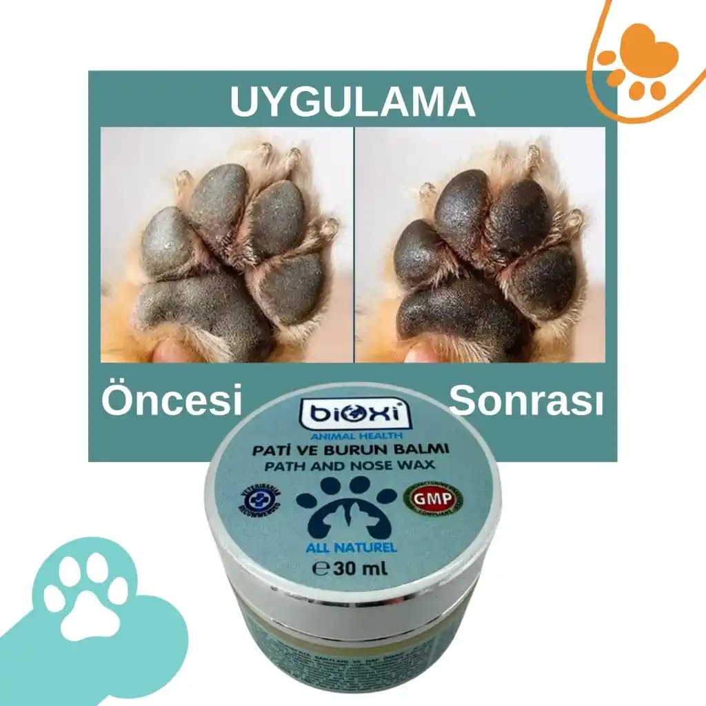 Evcil Hayvan Bakım Ürünleri Seçimi ve Kullanımı: Güvenli ve Etkili Ürünler Rehberi