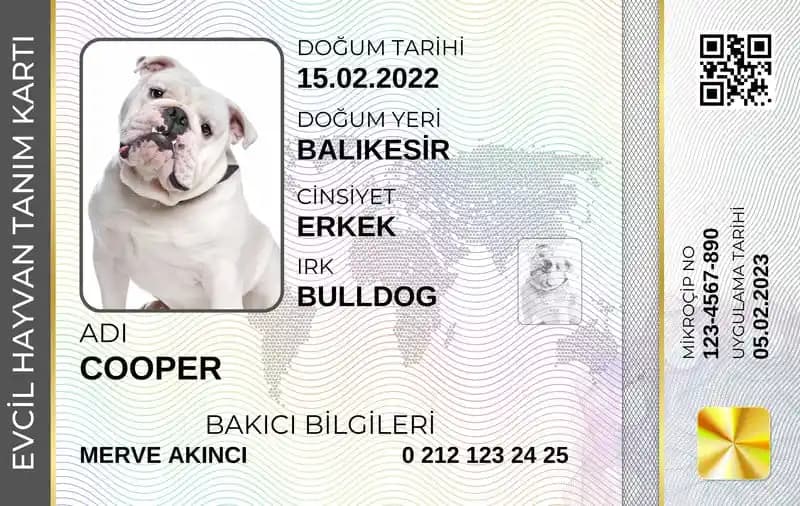 Evcil Hayvan Kimlik Künye Güvenliği ve Kullanım İpuçları