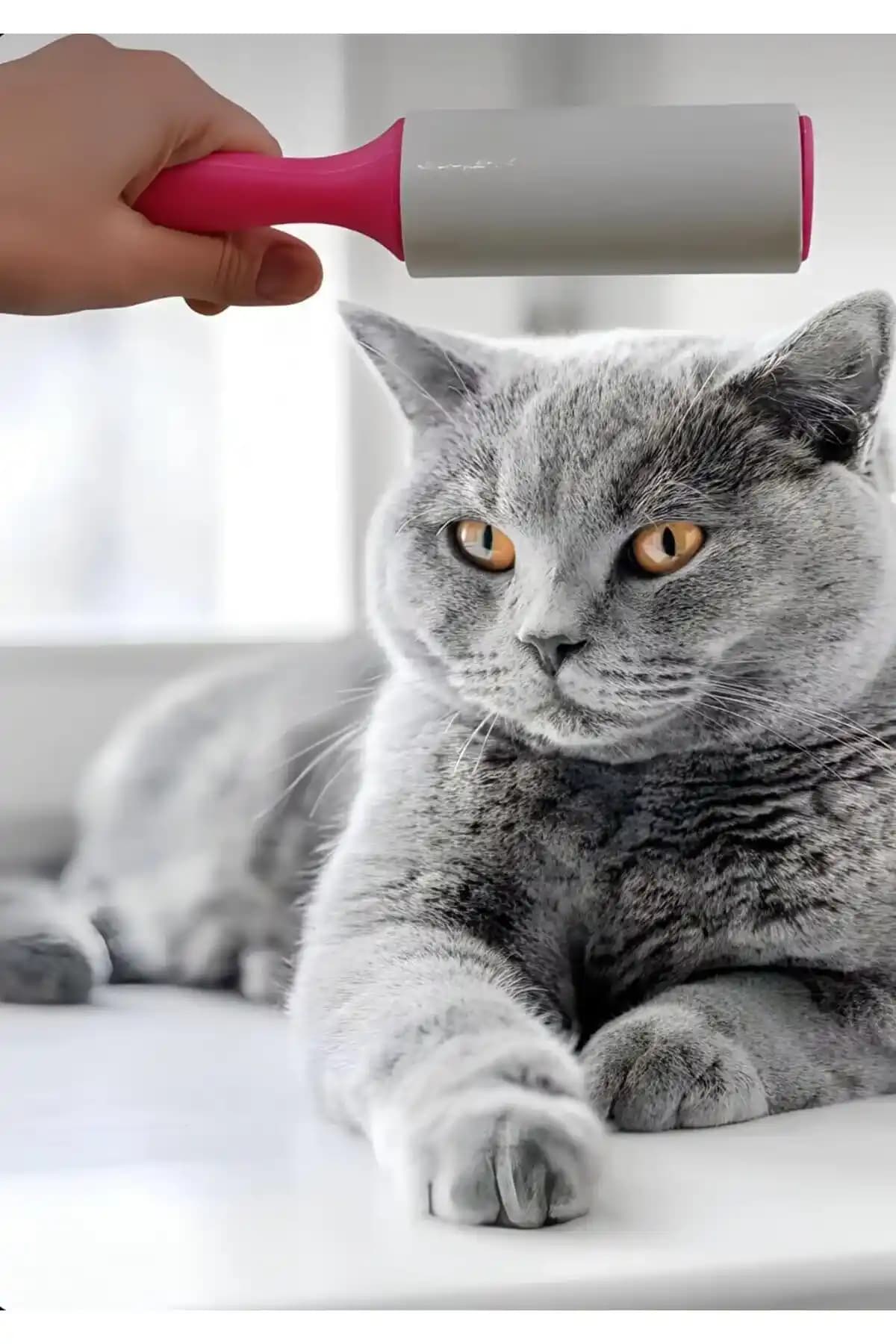 Evcil Hayvan Tüy Temizleme Rulosu: Pratik ve Etkili Temizlik Çözümü