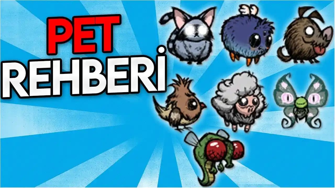 Evcil Hayvan Ürünleri ve Pet Shop Rehberi: Güvenilir Seçenekler ve Güncel Trendler