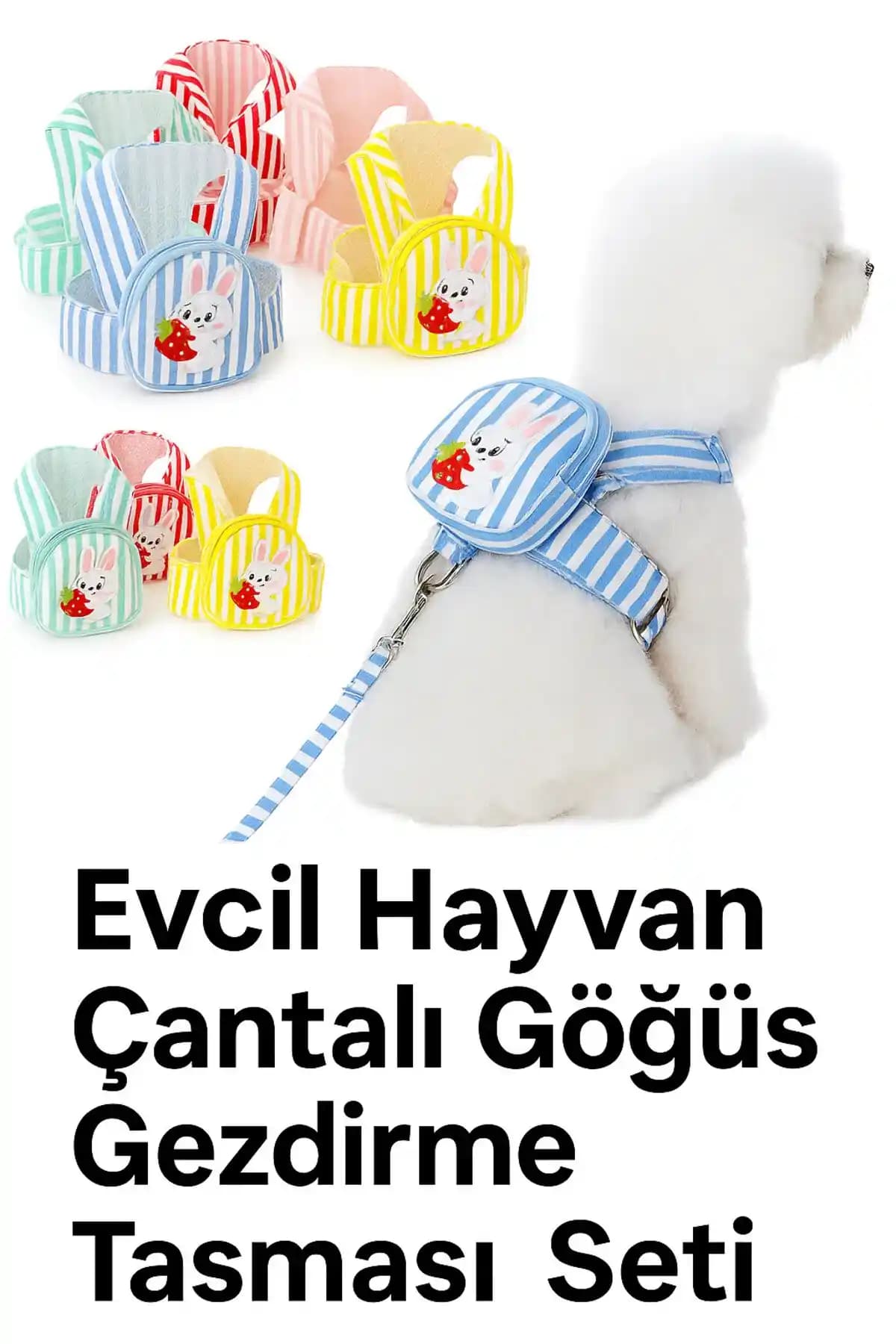 Evcil Hayvanlar İçin Güvenli ve Konforlu Göğüs Tasması Seçenekleri