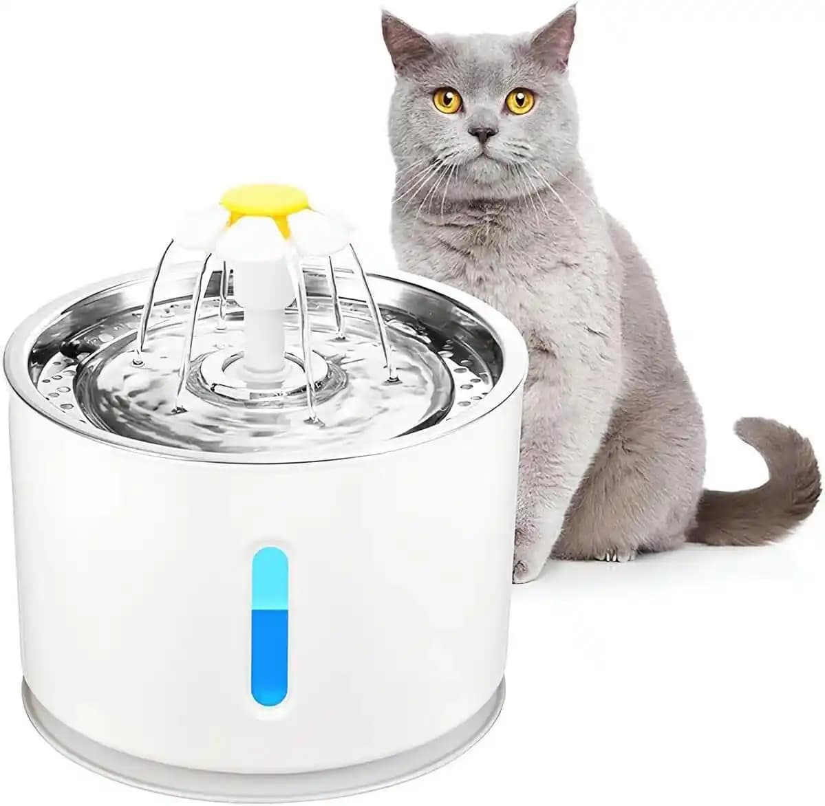 Evcil Hayvanlar İçin Sağlıklı ve Hijyenik Su Pınarı Seçenekleri Rehberi