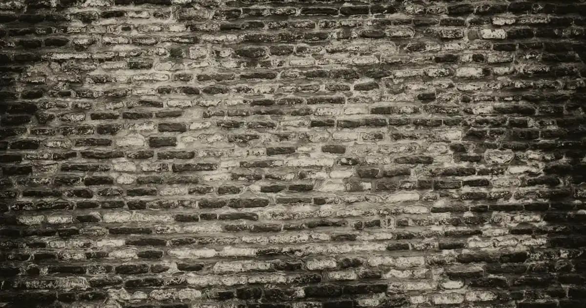 Evde Güvenli ve Doğal Malzemelerle Hazırlanan Kedi Tatlıları Rehberi