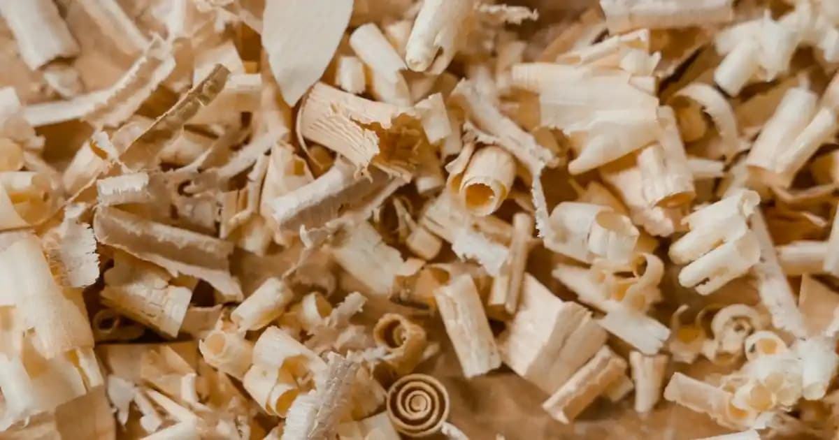 Farklı Ballı Fındık Ezmesi Çeşitleri ve Kullanım Alanları Hakkında Detaylı Bilgi