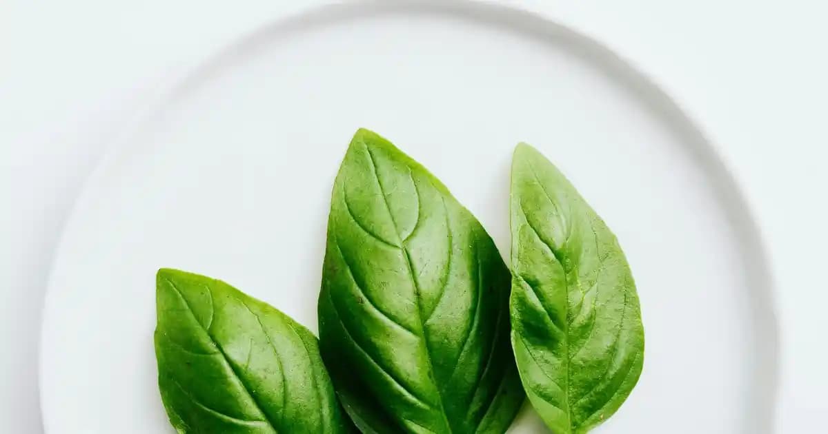 Geleneksel Pazar Yerlerinin Günümüzdeki Yeri ve Önemi Üzerine Kapsamlı Bir Analiz