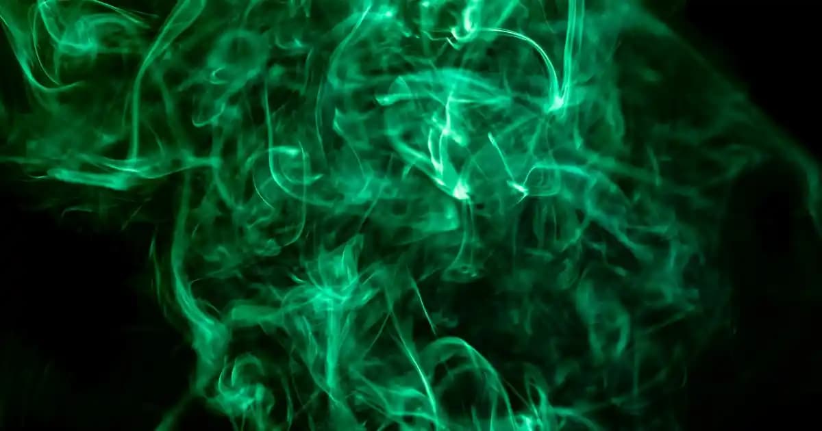 Günlük Beslenmede Vitamin E ve Meyve Tüketiminin Önemi Sağlıklı Yaşam İçin Rehber