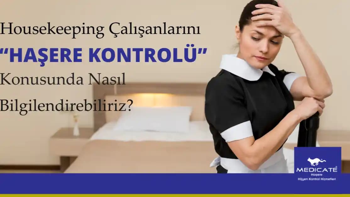 Hassas Koku Salmayan Haşere Kontrolü Ürünleri ve Güvenli Kullanım İpuçları