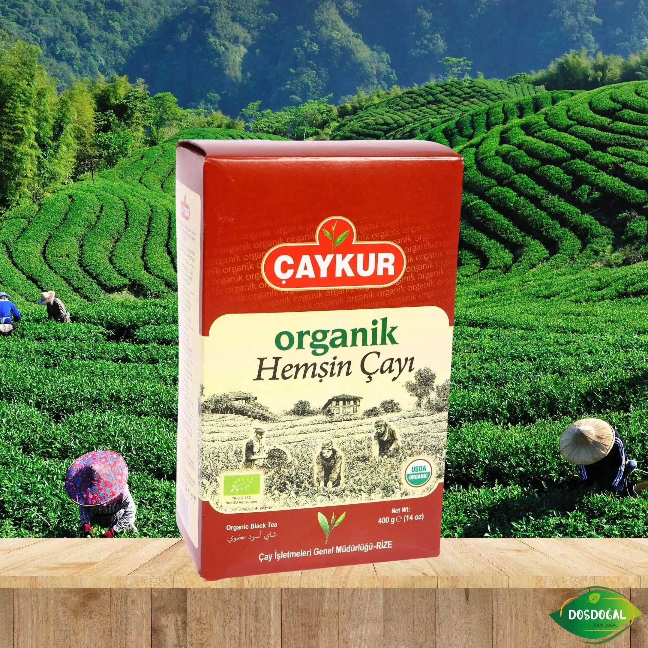 Hemşin Organik Çay Çeşitleri: Doğal Yetiştirme ve Sağlık Faydalarıyla Öne Çıkıyor