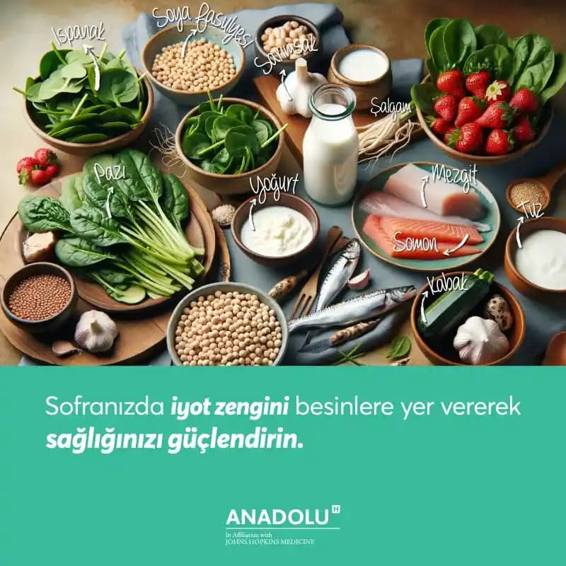 İyot İçeren Besinler ve Günlük Alımda Dikkat Edilmesi Gerekenler