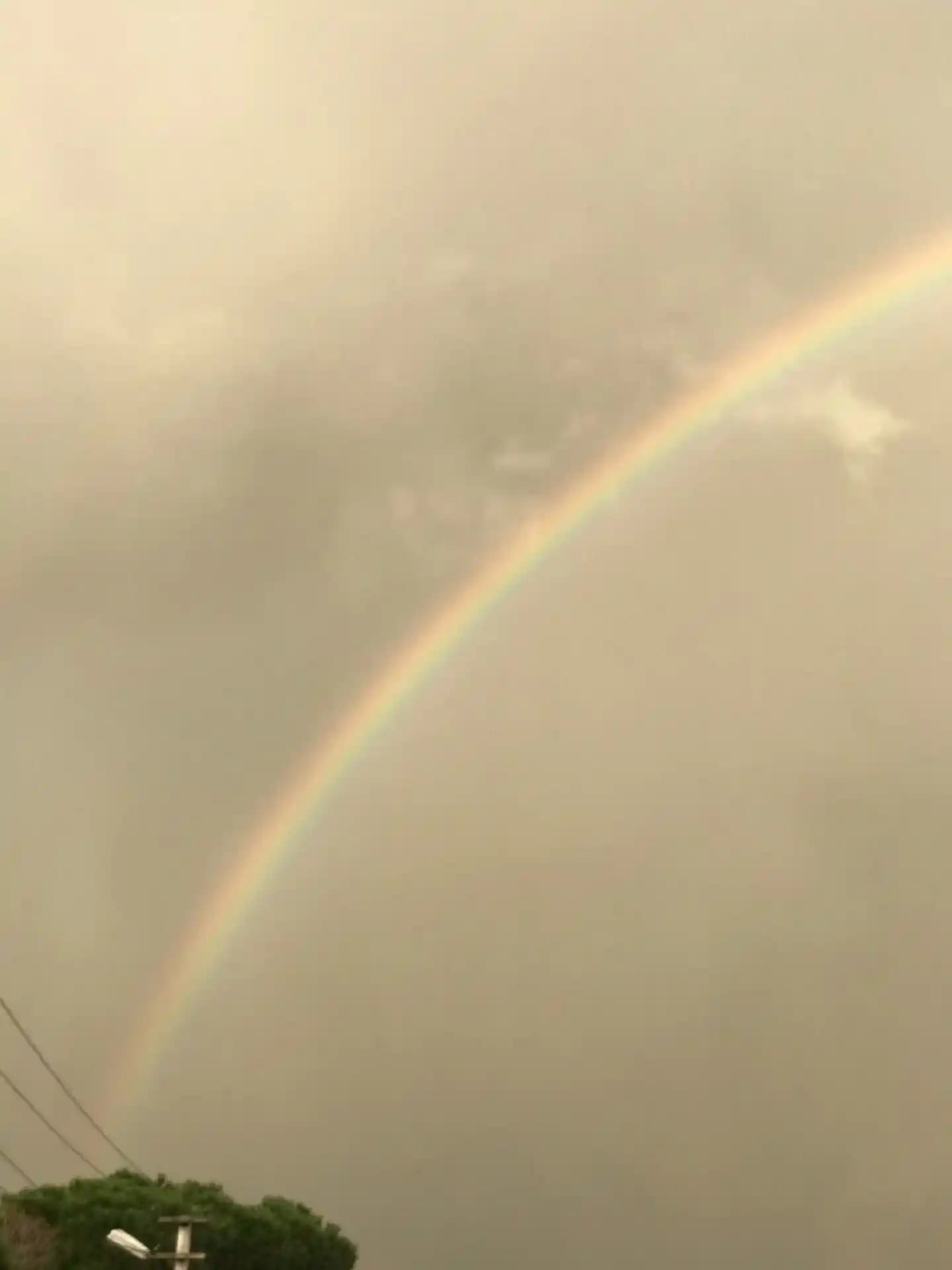 İzmir'de Güncel Taze Et Fiyatları ve Piyasa Koşulları Analizi