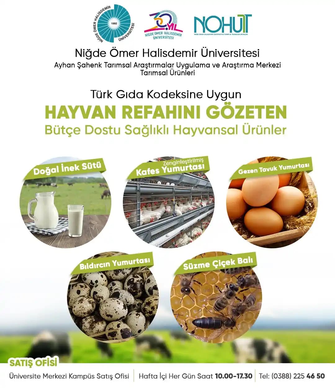 İzmir’de Hayvansal Ürün Fiyatları ve Tasarruf İmkanları Hakkında Güncel Bilgiler