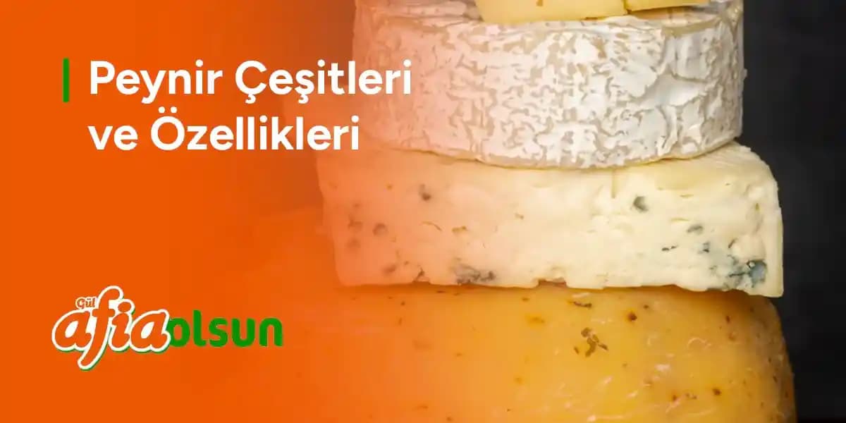 Kaliteli ve Lezzetli Peynir Çeşitleri: Özellikleri ve Seçim Kriterleri