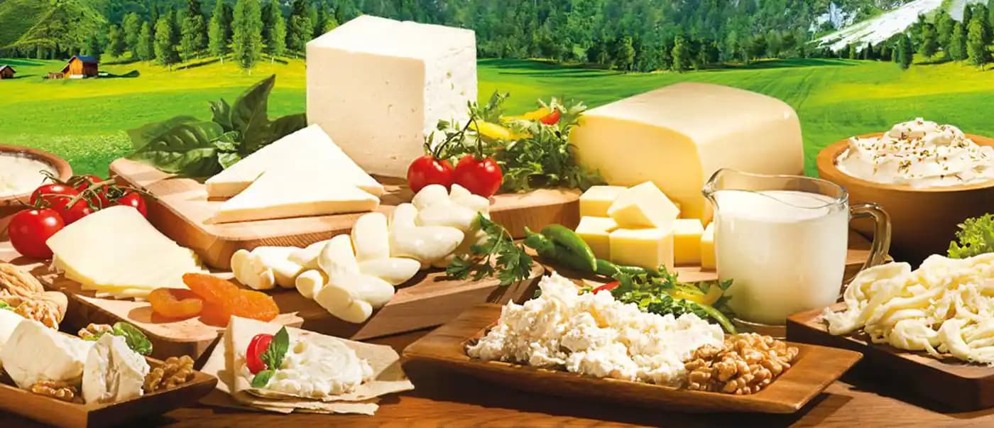 Kaliteli ve Standart Süt Ürünleri: Güvenilirlik ve Sağlık İçin Temel Unsurlar