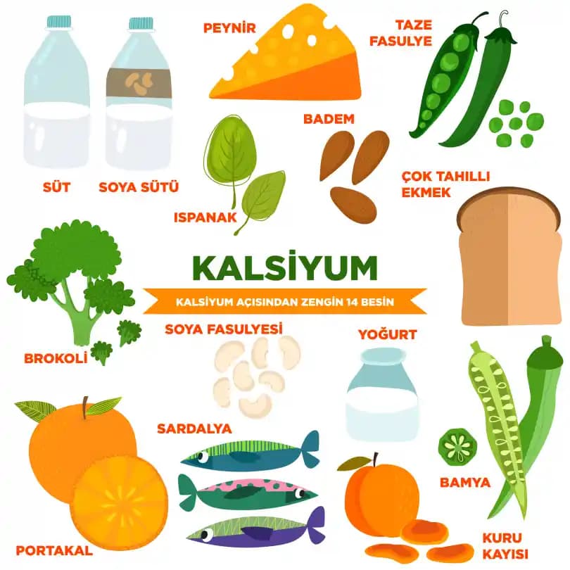 Kalsiyum Zengini Gıdalar ve Günlük Sağlıkta Rolü: Kemik Sağlığını Destekleyen Beslenme Önerileri