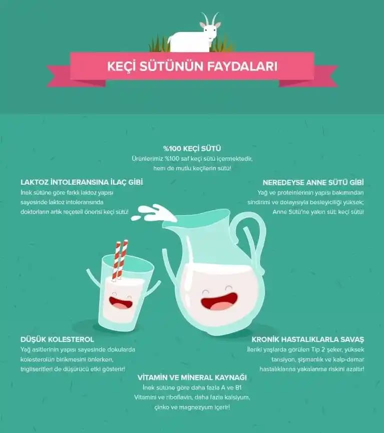 Keçi Sütünün Sağlık ve Günlük Yaşamda Kullanım Faydaları Analizi