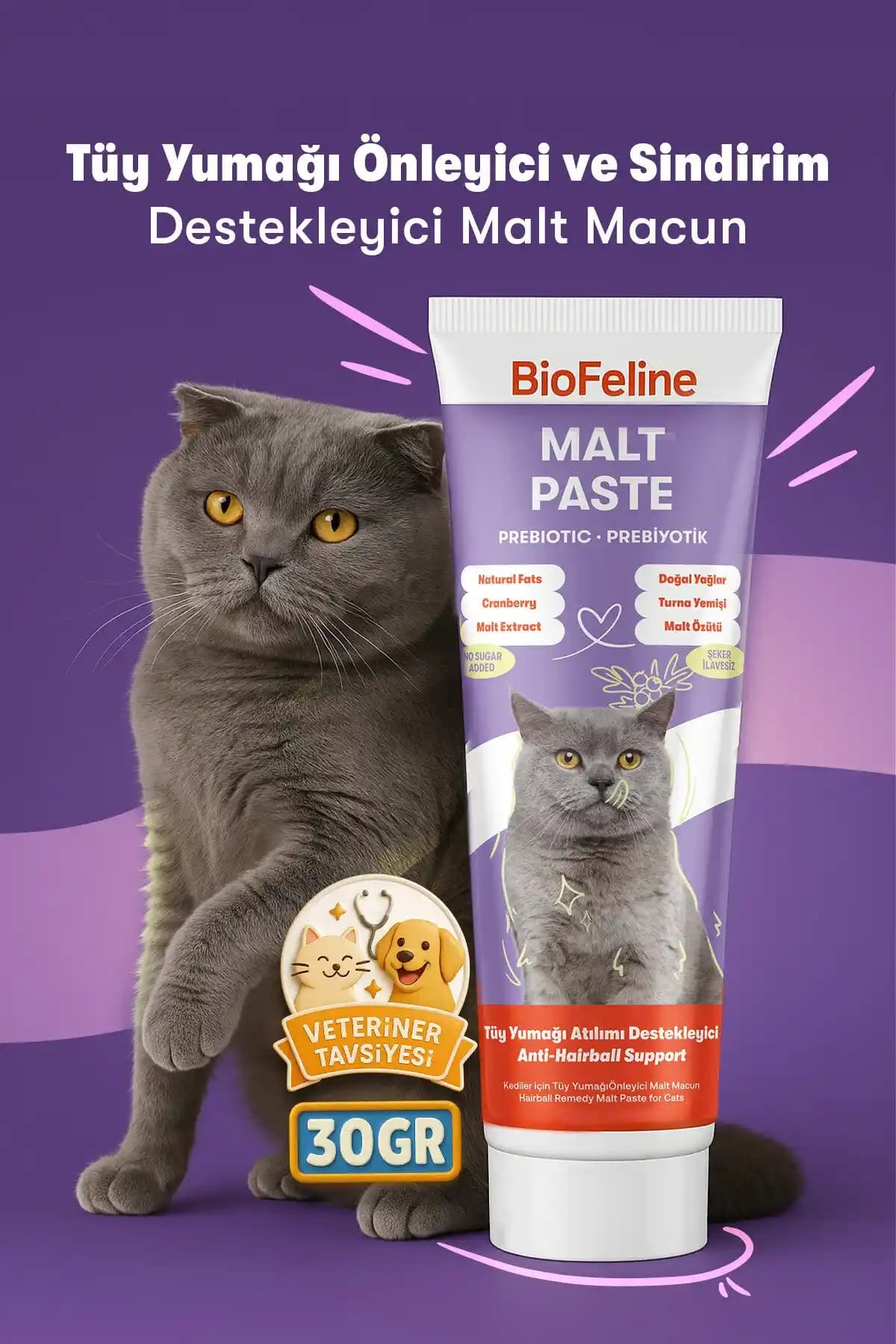 Kedi Malt Macunu Seçerken Dikkat Edilmesi Gerekenler ve En Etkili Ürünler