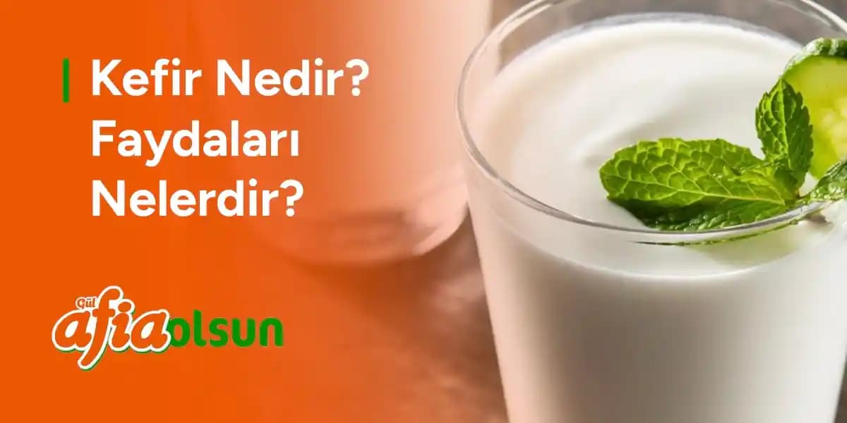 Kefirin Diyabet ve Bağırsak Sağlığına Faydaları: Doğal ve Sağlıklı Bir Destek