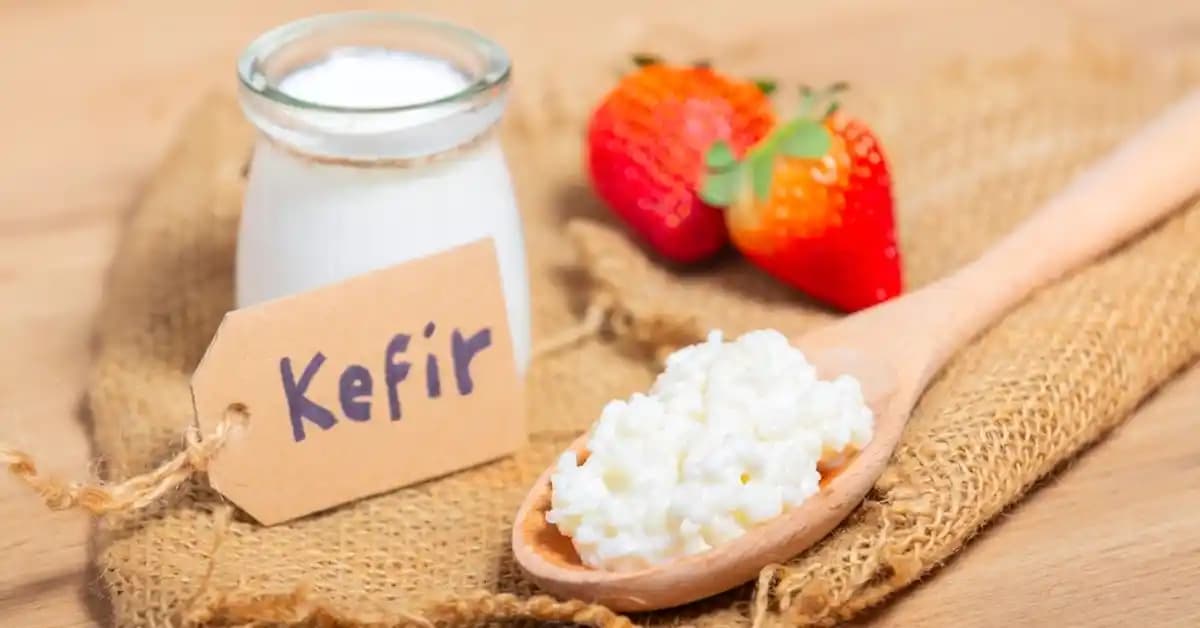 Kefirin Sağlık Üzerindeki Etkileri: Probiyotik Bir Süt Ürünü Olarak Değerlendirme