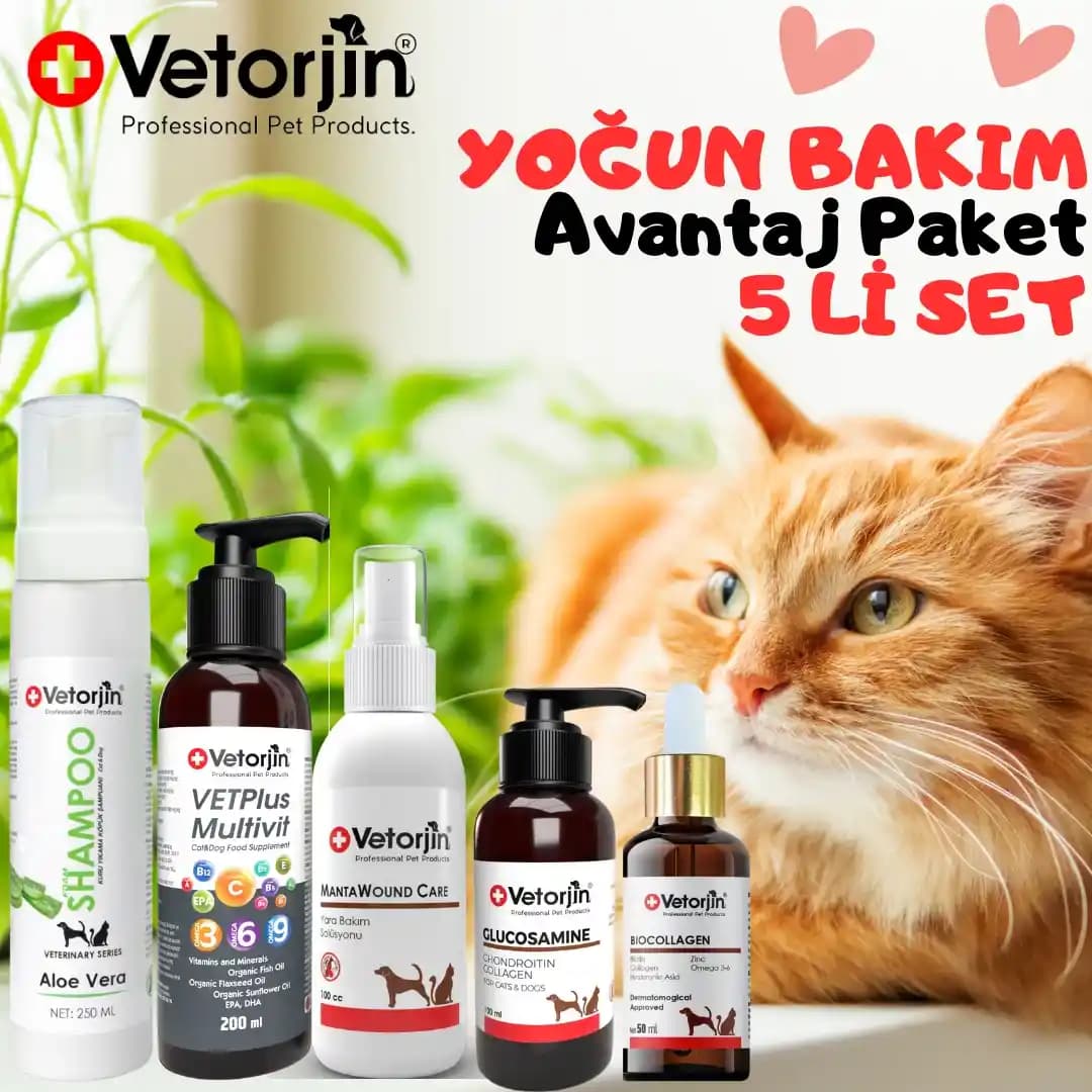 Kemik ve Bağışıklık Sistemini Güçlendiren Formüller ve Temel Bileşenler