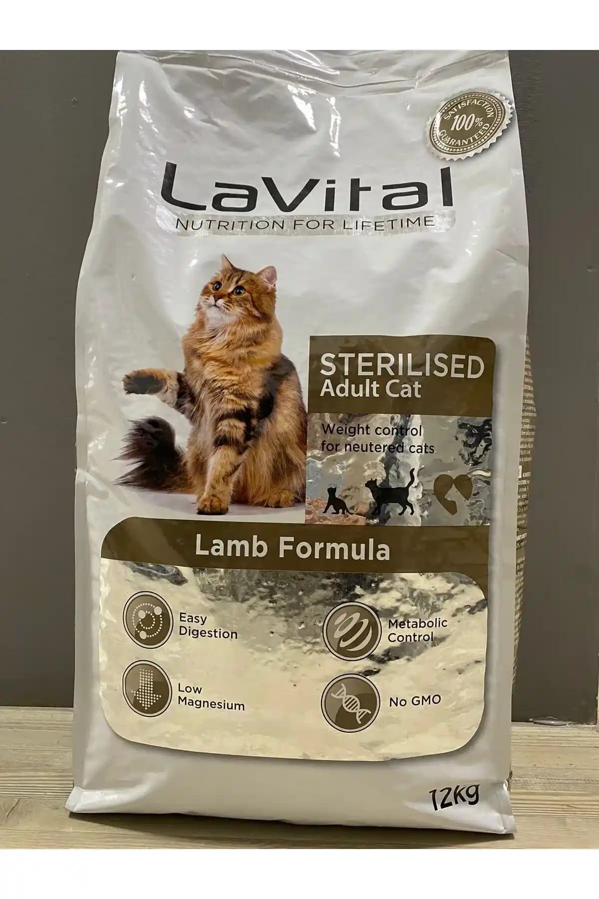 Kısırlaştırılmış Kediler İçin Sağlıklı ve Dengeli Mama Seçenekleri ve Beslenme İpuçları