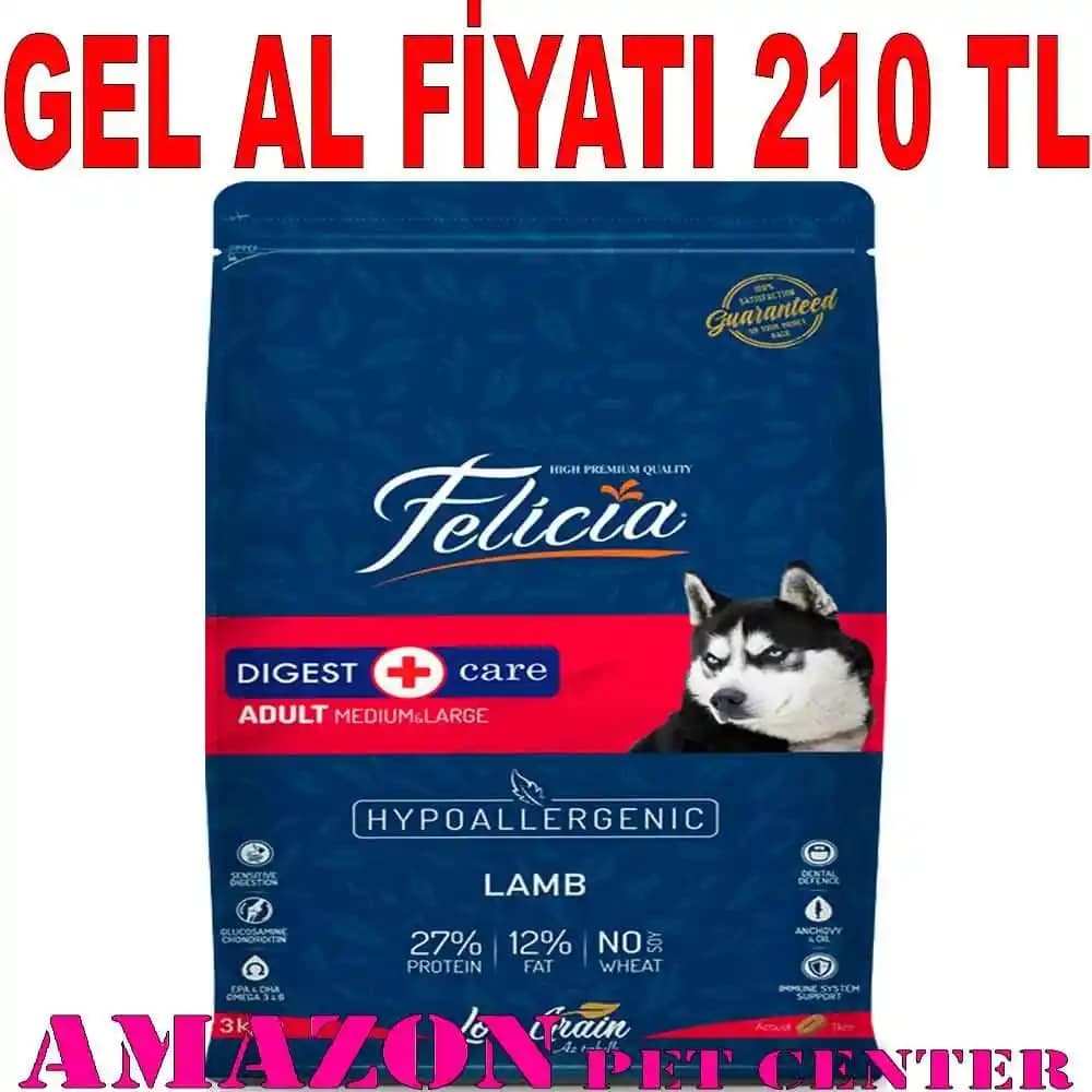 Köpek Mamalarında Sığır ve Kuzu Eti: Faydaları ve Seçim Rehberi