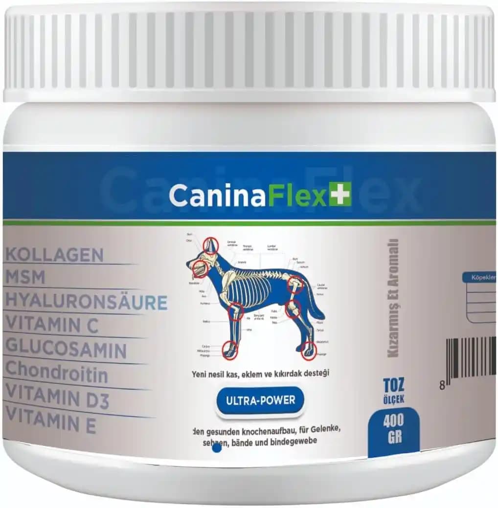 Köpekler İçin Glukozamin Takviyesi: Eklem Sağlığını Destekleyen Temel Bilgiler ve Kullanım Yöntemleri