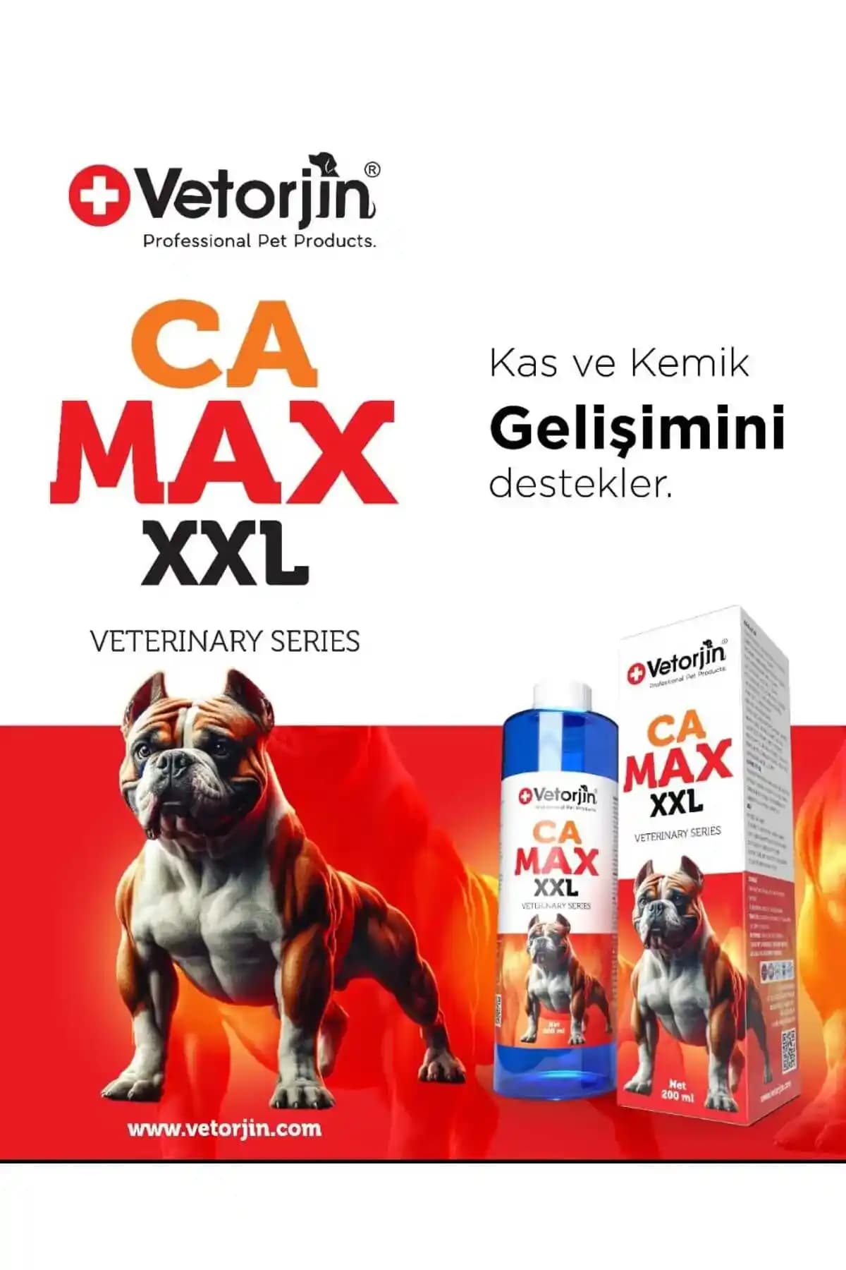 Köpekler İçin Hareket Kolaylaştırıcı Takviyeler: Güncel Yaklaşımlar ve Kullanım İpuçları