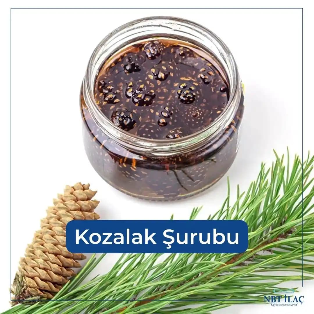 Kozalak Şurubu ve Solunum Sağlığı Üzerindeki Etkileri Doğal Çözümlerle Değerlendirme