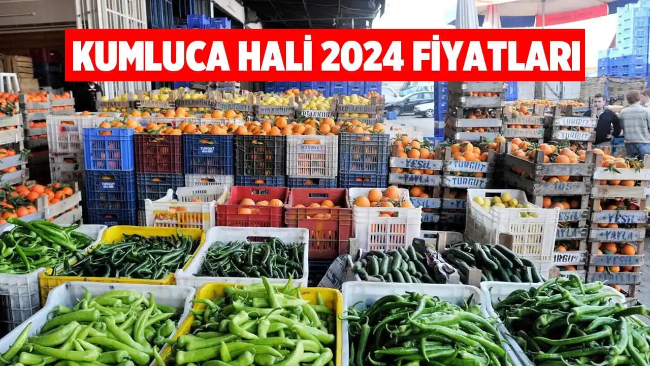 Kumluca Sebze Fiyatları ve Piyasa Dinamikleri Güncel Analizi