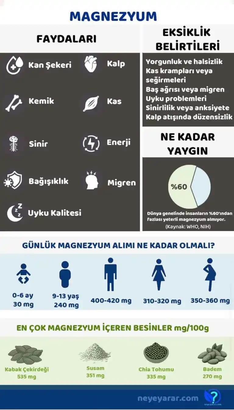 Magnezyum Takviyeleri ve Farklı Formların Sağlık Üzerindeki Etkileri