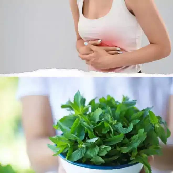 Marketlerde Bulunan Doğal Yiyecekler ve Mide Rahatlatıcı Çözümler Hakkında Bilgiler