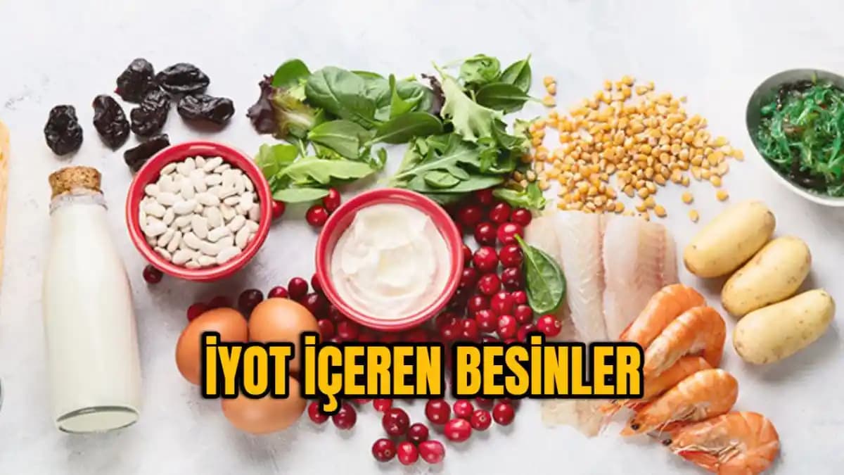 Marketlerde Yüksek İyot İçeriğine Sahip Besinler ve Sağlık Üzerindeki Önemi