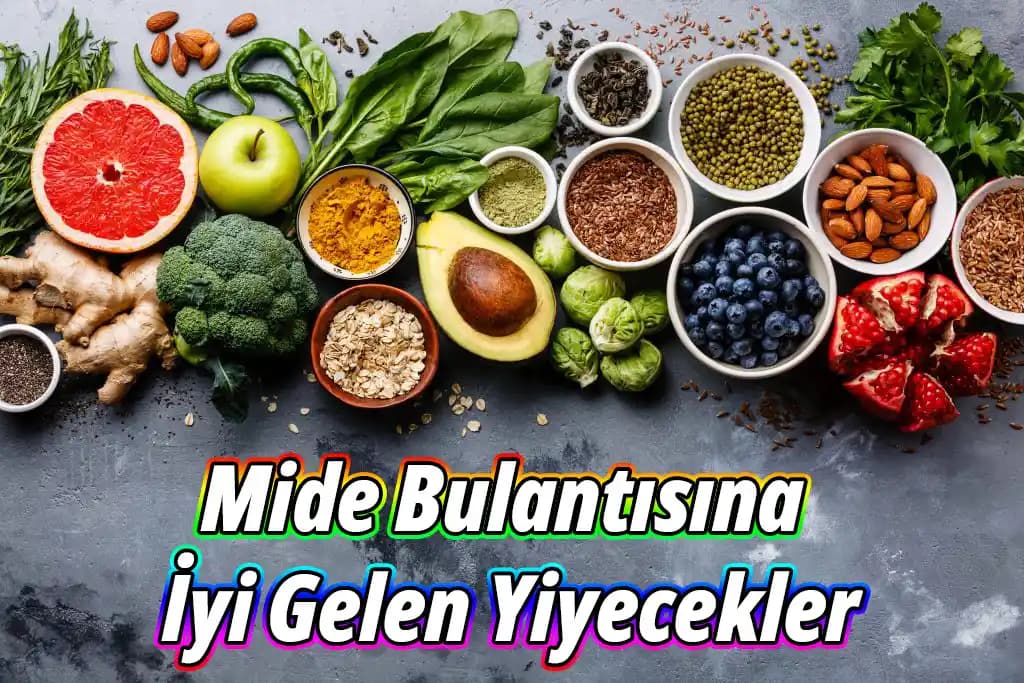 Mide Sorunları İçin Günlük Tüketilebilecek Doğal Yiyecekler Rehberi